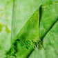 Green Shibori Woven Bhagalpuri Linen Stole